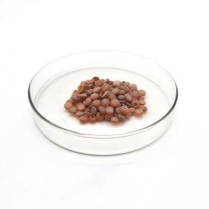 كاۋچۇك ئوكسىد ئارىلىدىكى TMQ 26780-96-1